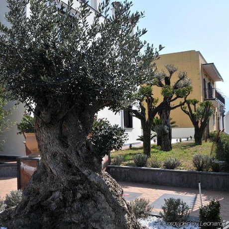 Imagen general del Hotel Costa, POMPEYA. Foto 2