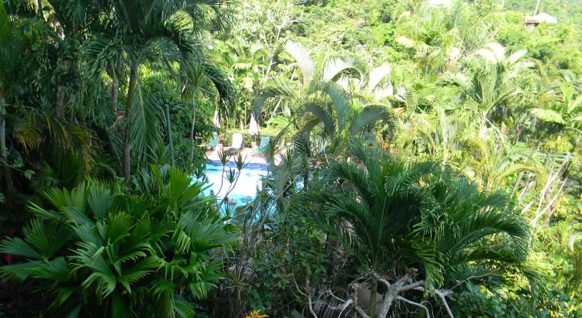Imagen de los exteriores del Hotel Costa Verde, Parque Nacional Manuel Antonio. Foto 8