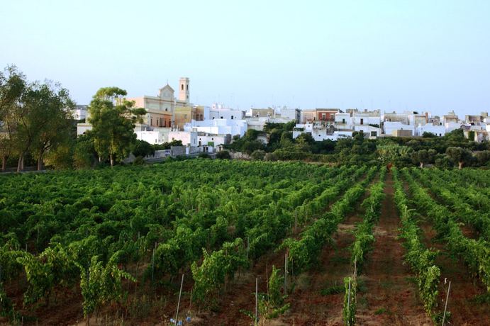 Imagen de los exteriores del Hotel Costa d\'Oro. Foto 16