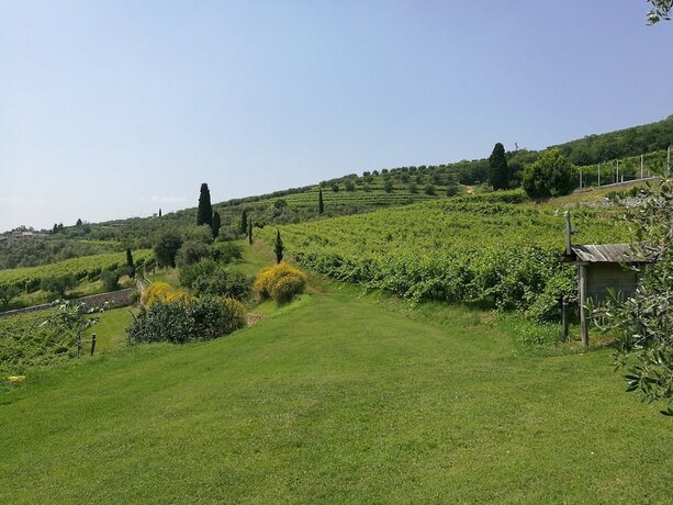 Imagen general del Hotel Costa degli Ulivi, Mazzurega. Foto 12