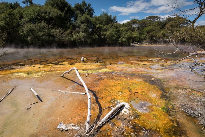 Imagen de la habitación del Hotel Cosy Cottage Thermal Holiday Park. Foto 8