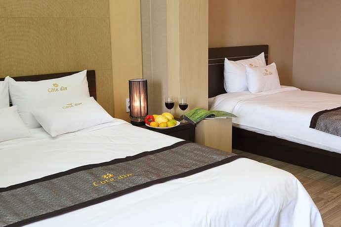 Imagen de la habitación del Hotel Cote Dor. Foto 6