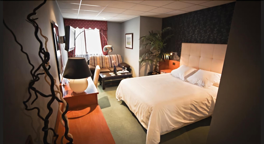 Imagen de la habitación del Hotel Coto Real. Foto 14