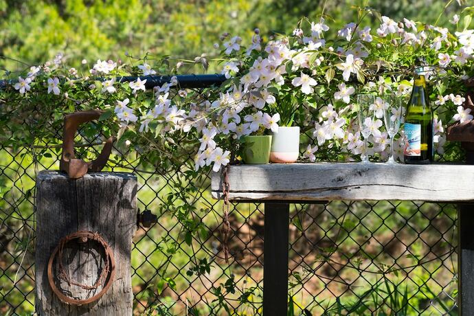 Imagen general del Hotel Cottage At 4a. Foto 10