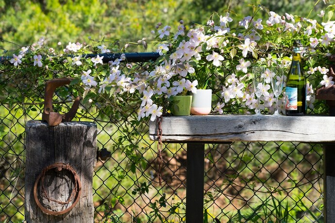 Imagen de los interiores del Hotel Cottage At 4a. Foto 26