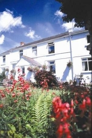 Imagen general del Hotel Cottage Court. Foto 2