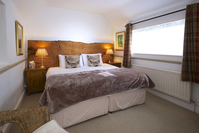 Imagen de la habitación del Hotel Cottage Lodge. Foto 3