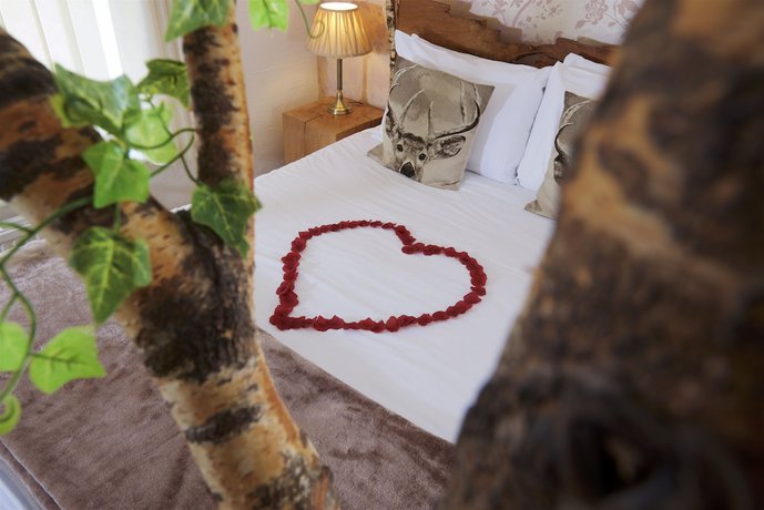 Imagen de la habitación del Hotel Cottage Lodge. Foto 14