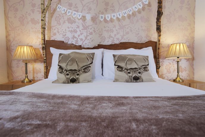 Imagen de la habitación del Hotel Cottage Lodge. Foto 17