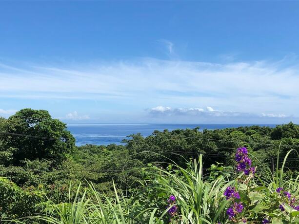 Imagen general del Hotel Cottage Orange House Yakushima. Foto 5