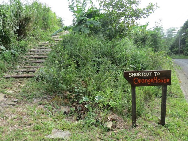 Imagen general del Hotel Cottage Orange House Yakushima. Foto 18