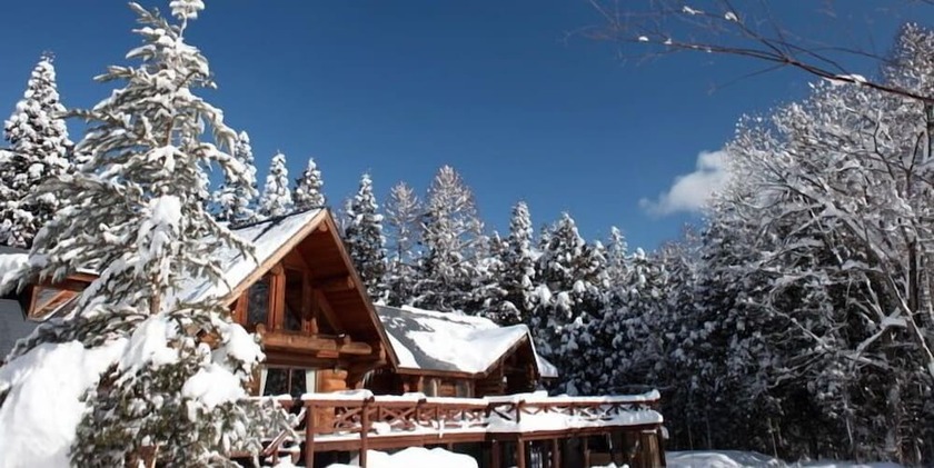 Imagen general del Hotel Cottage hotel fenice hakuba. Foto 8