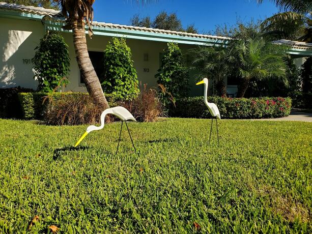 Imagen general del Hotel Cottages El Portal. Foto 11