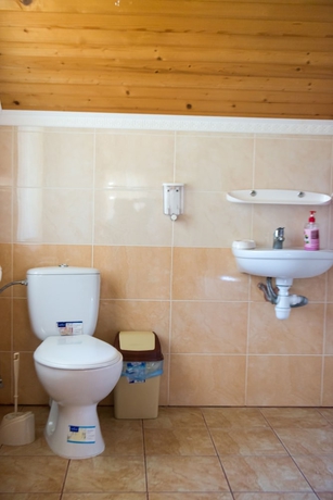 Imagen de la habitación del Hotel Cotteges Dzherelo. Foto 16