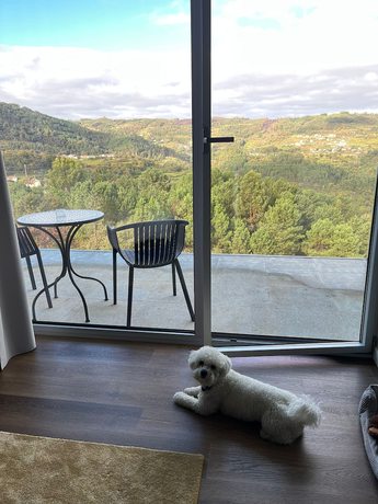 Imagen de la habitación del Hotel Cotto do Gatto. Foto 3