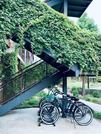 Imagen general del Hotel Cotton Court , by Valencia Group. Foto 25