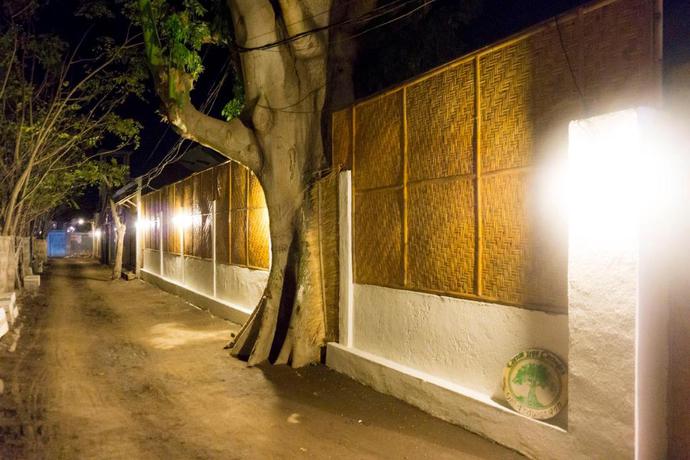 Imagen de los exteriores del Hotel Cotton Tree Cottages. Foto 7