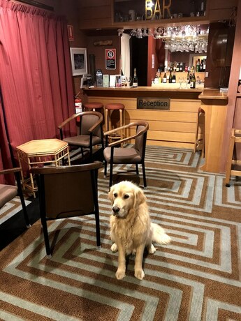 Imagen del bar/restaurante del Hotel Cottonwood Lodge. Foto 14