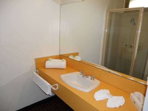 Imagen de la habitación del Hotel Cottonwood Motor Inn Mildura. Foto 3