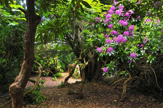 Imagen de los exteriores del Hotel Coul House. Foto 8