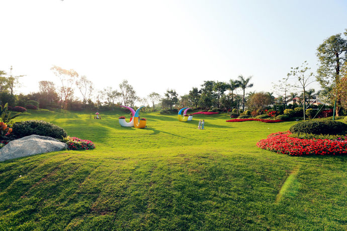 Imagen de los exteriores del Hotel Country Garden Airport Phoenix. Foto 12