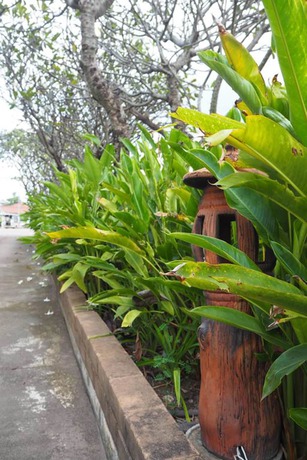 Imagen de la habitación del Hotel Country Inn 304. Foto 8