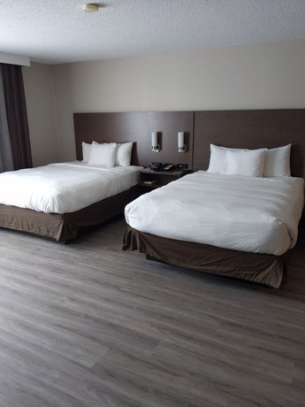 Imagen de la habitación del Hotel Country Inn And Suites By Radisson, Buffalo, Mn. Foto 12