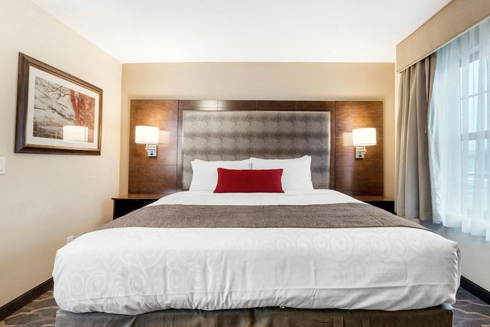 Imagen de la habitación del Hotel Country Inn And Suites By Radisson, Grandville-grand Rapids West, Mi. Foto 2