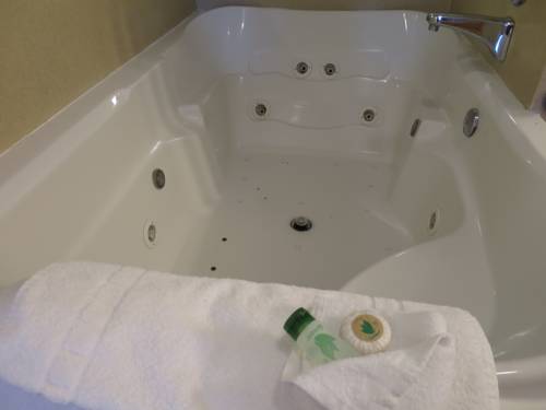 Imagen de la habitación del Hotel Country Inn, Ontario. Foto 15