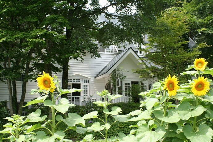 Imagen general del Hotel Country Inn Orchard House. Foto 2