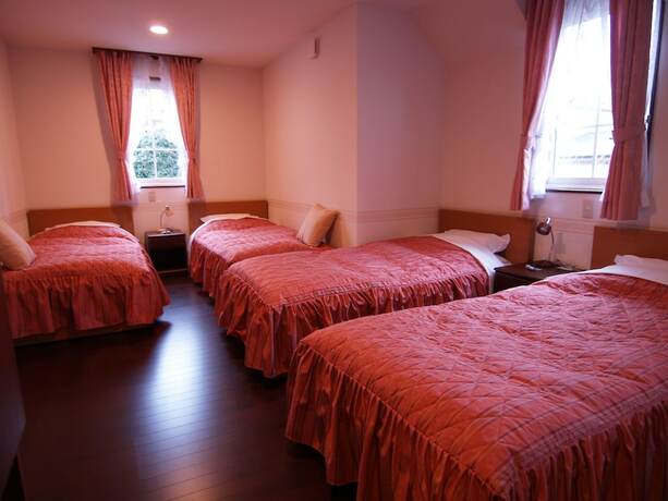 Imagen de la habitación del Hotel Country Inn Pewit. Foto 14