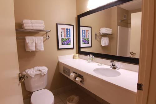 Imagen de la habitación del Hotel Country Inn & Suites By Radisson, Annapolis, Md. Foto 11
