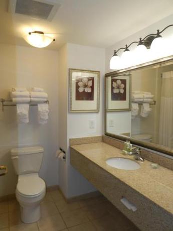 Imagen de la habitación del Hotel Country Inn & Suites By Radisson, Braselton. Foto 11