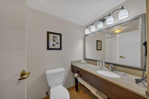 Imagen general del Hotel Country Inn & Suites By Radisson, Braselton. Foto 1