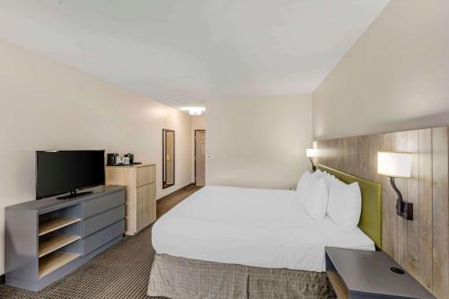 Imagen de la habitación del Hotel Country Inn & Suites By Radisson, Elk Grove Village. Foto 5