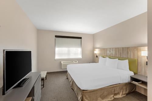 Imagen de la habitación del Hotel Country Inn & Suites By Radisson, Elk Grove Village. Foto 7