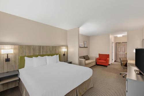 Imagen de la habitación del Hotel Country Inn & Suites By Radisson, Elk Grove Village. Foto 12