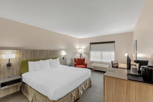 Imagen de la habitación del Hotel Country Inn & Suites By Radisson, Elk Grove Village. Foto 13