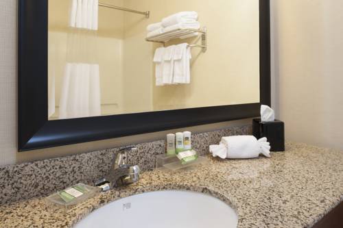 Imagen de la habitación del Hotel Country Inn & Suites By Radisson, Holland. Foto 10