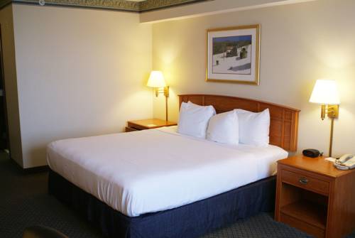 Imagen de la habitación del Hotel Country Inn & Suites By Radisson, Lansing. Foto 10