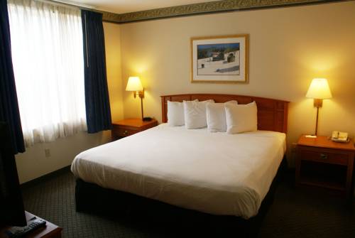 Imagen de la habitación del Hotel Country Inn & Suites By Radisson, Lansing. Foto 15