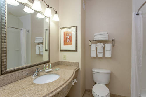Imagen de la habitación del Hotel Country Inn & Suites By Radisson, San Marcos, Tx. Foto 5