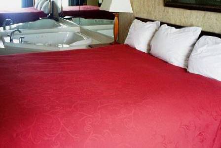 Imagen de la habitación del Hotel Country Inn & Suites By Radisson, Somerset, Ky. Foto 8