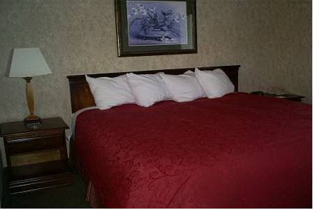 Imagen de la habitación del Hotel Country Inn & Suites By Radisson, Somerset, Ky. Foto 9