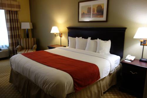 Imagen de la habitación del Hotel Country Inn & Suites By Radisson, Tuscaloosa. Foto 7