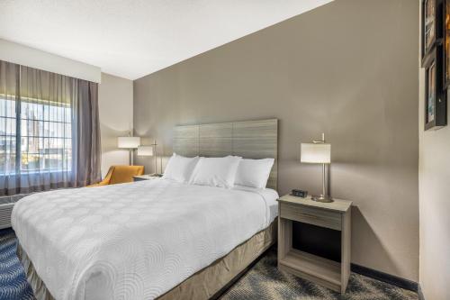 Imagen de la habitación del Hotel Country Inn & Suites by Radisson, Bolingbrook, I-55. Foto 10