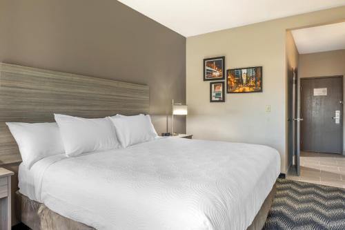 Imagen de la habitación del Hotel Country Inn & Suites by Radisson, Bolingbrook, I-55. Foto 11