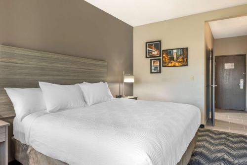 Imagen de la habitación del Hotel Country Inn & Suites by Radisson, Bolingbrook, I-55. Foto 19