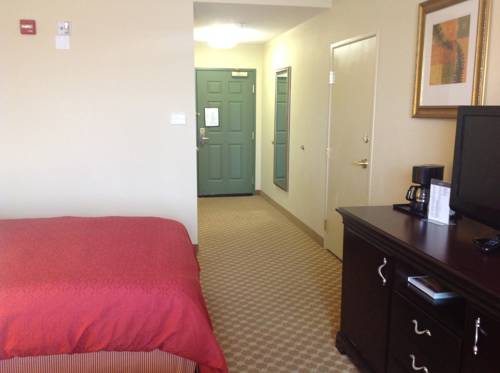 Imagen de la habitación del Hotel Country Inn & Suites by Radisson, Bradenton-Lakewood-Ranch, FL. Foto 4