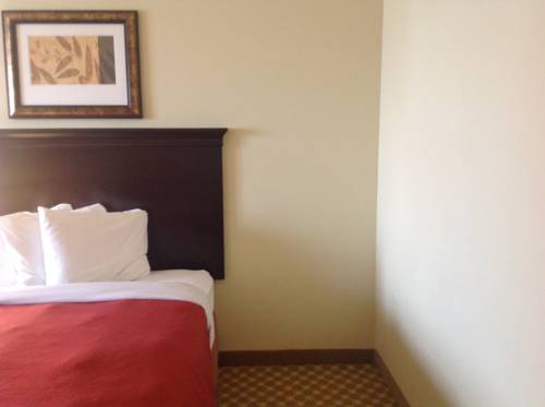 Imagen de la habitación del Hotel Country Inn & Suites by Radisson, Bradenton-Lakewood-Ranch, FL. Foto 15